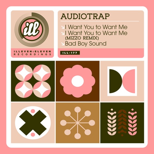 AudioTrap, Mizzo-I Want You To Want Me