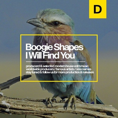 Boogie Shapes-I Will Find You
