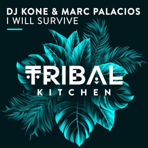 DJ Kone, Marc Palacios-I Will Survive
