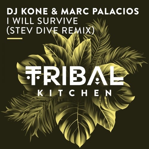 DJ Kone & Marc Palacios, Stev Dive-I Will Survive (Stev Dive Remix)
