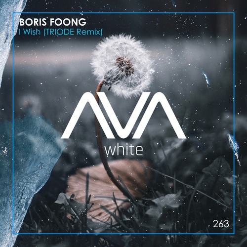 Boris Foong, Triode-I Wish