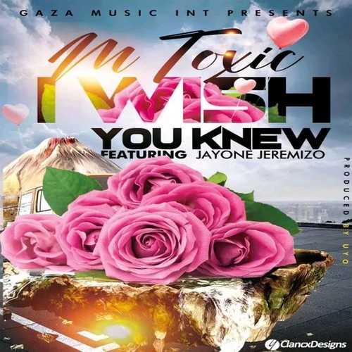 M TOXIC, JEREMIZO-I wish you knew