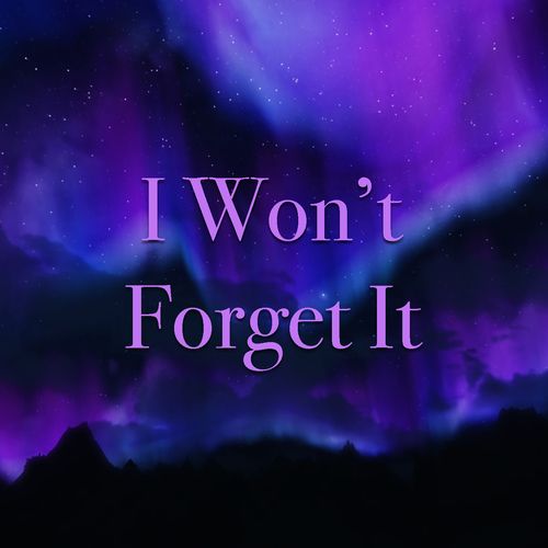 Various Artists-I Won't Forget It