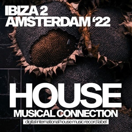 Various Artists-Ibiza 2 Amsterdam 2022