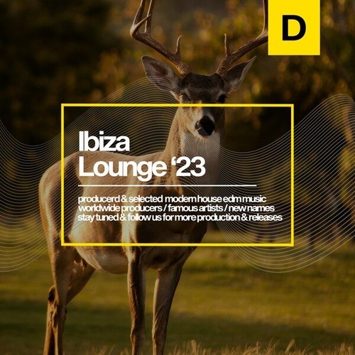 Ibiza Lounge 2023