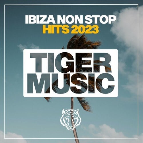 Various Artists-Ibiza Non Stop Hits 2023