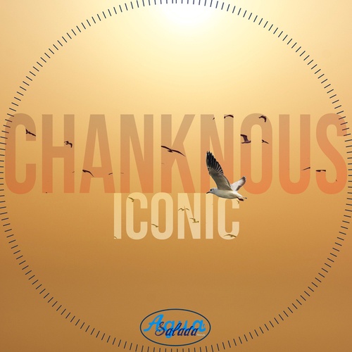 Chanknous-Iconic