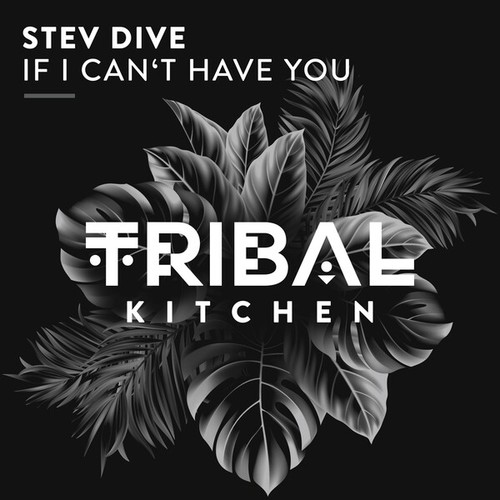 Stev Dive-If I Can't Have You