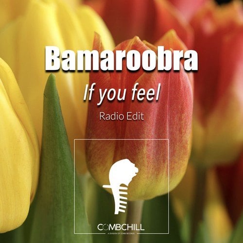 Bamaroobra-If You Feel (Radio Edit)