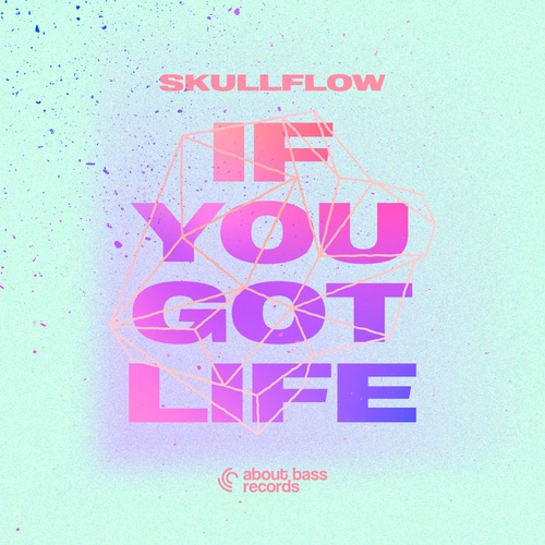 Skullflow-If You Got Life