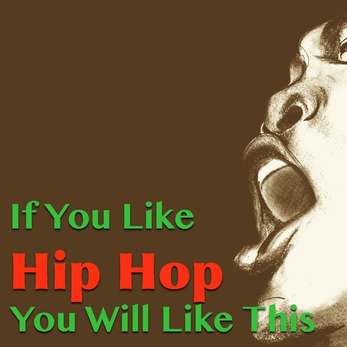 Various Artists-If You Like Hip Hop You Will Like This