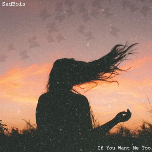 SadBois-If You Want Me Too