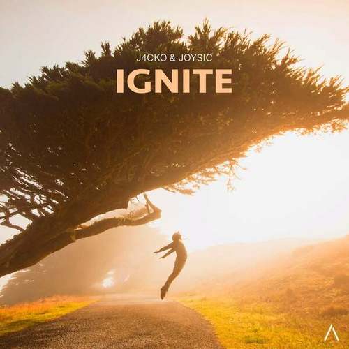 J4CKO, Joysic-Ignite