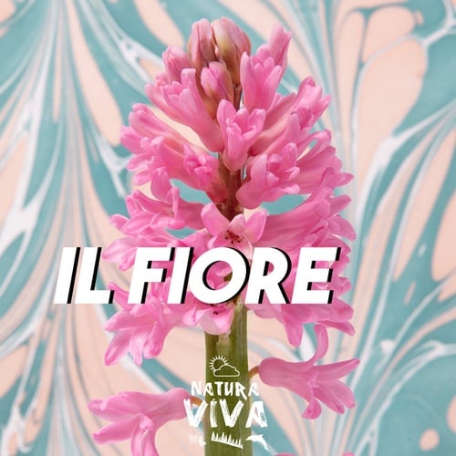 Various Artists-Il Fiore