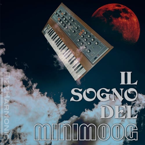 IL SOGNO DEL minimoog