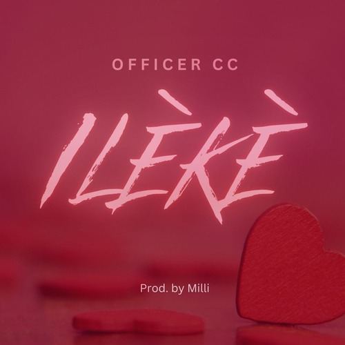 Officer Cc-Ileke