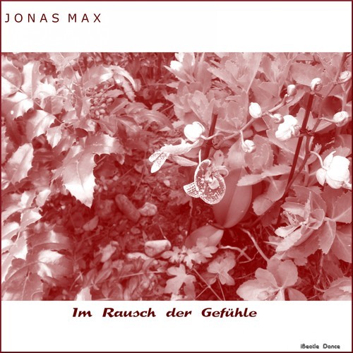 Jonas Max-Im Rausch der Gefühle