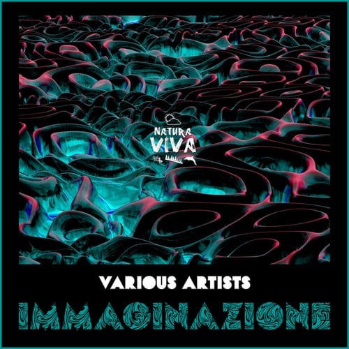 Various Artists-Immaginazione