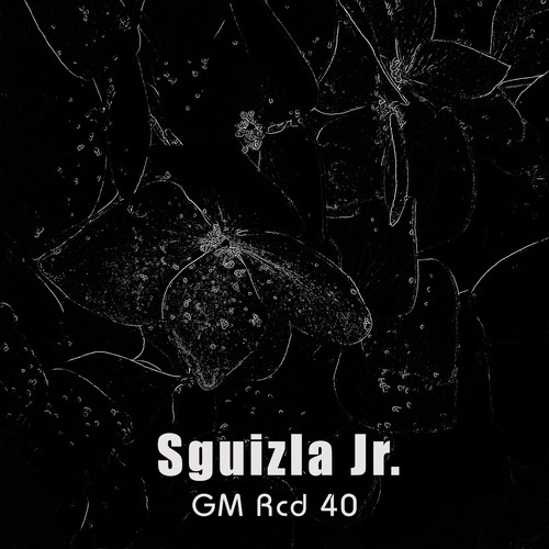 Sguizla Jr.-Impact