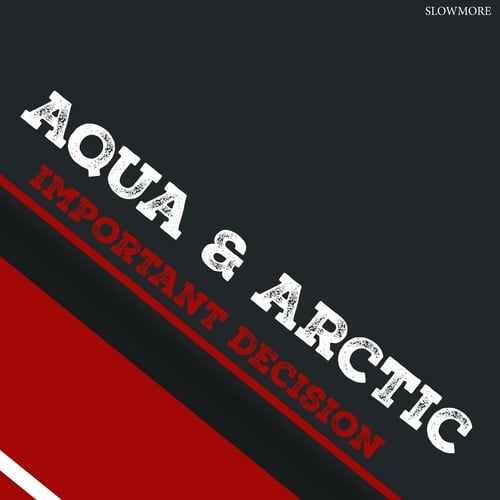 Aqua & Arctic-Important Decision