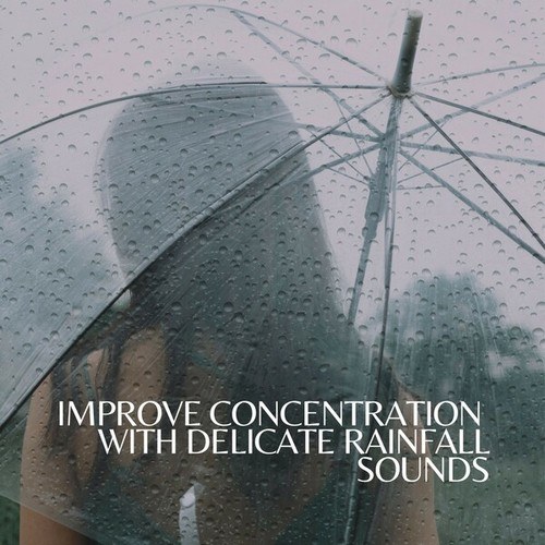 Improve Concentration with Delicate Rainfall Sounds