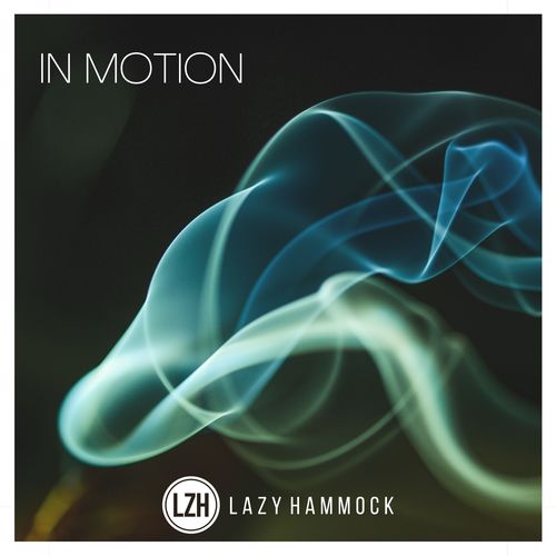 Lazy Hammock-In Motion