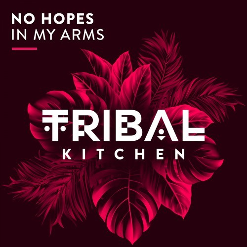 No Hopes-In My Arms