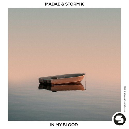 Madaë, Storm K-In My Blood