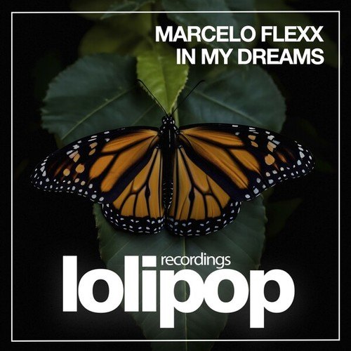 Marcelo Flexx-In My Dreams
