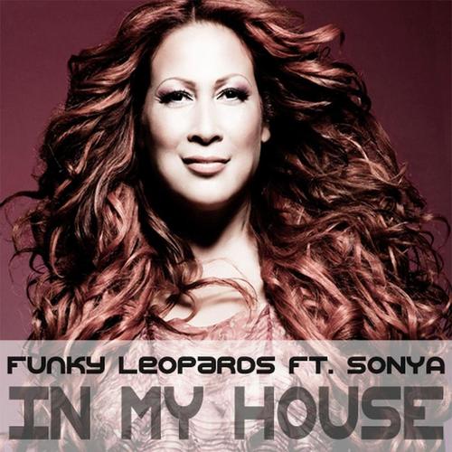 Funky Leopards-In My House