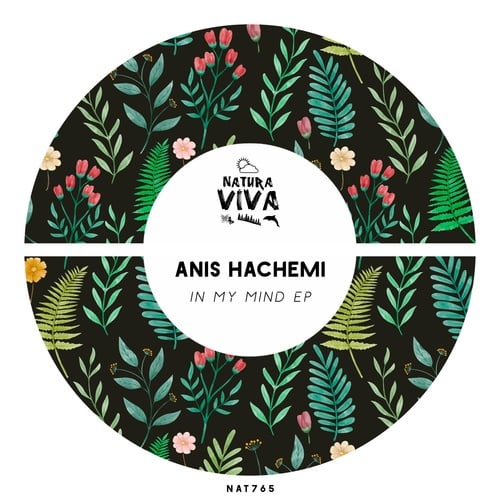Anis Hachemi-In My Mind