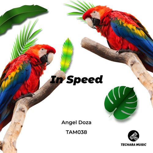 Angel Doza-In Speed