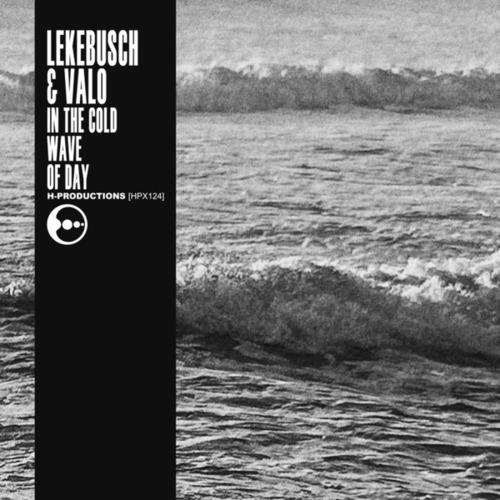 Lekebusch & Valo-In The Cold Wave of Day