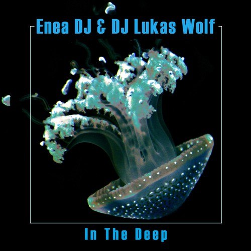 Enea DJ, DJ Lukas Wolf-In the Deep