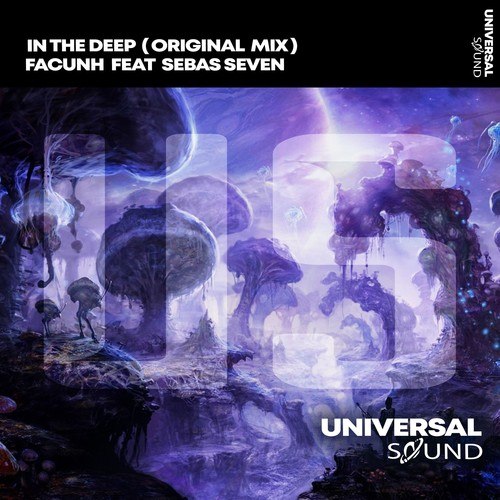 Sebas Seven, Facunh-In the Deep (Original Mix)