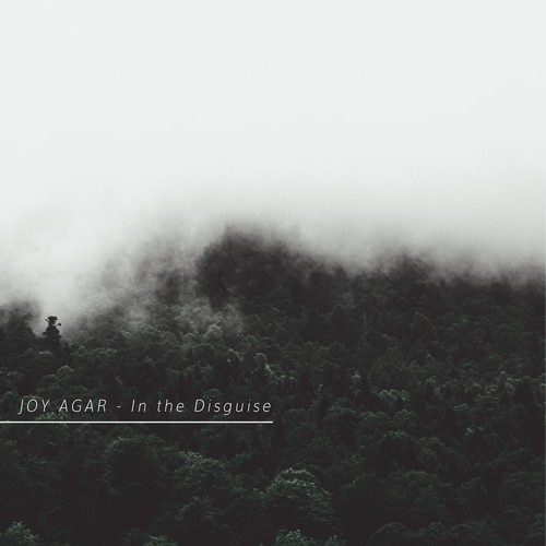 Joy Agar-In the Disguise