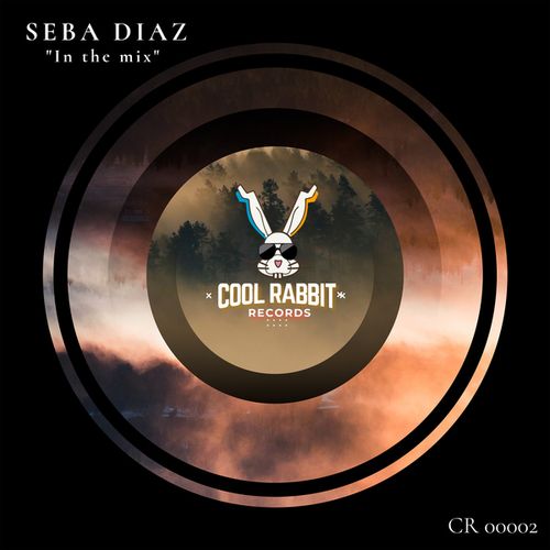 Seba Diaz-In the Mix