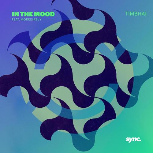 Timbhai-In the Mood