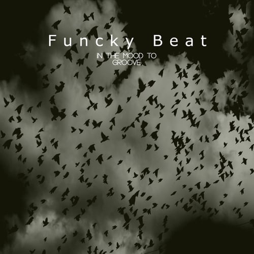 Funcky Beat-In The Mood To Groove
