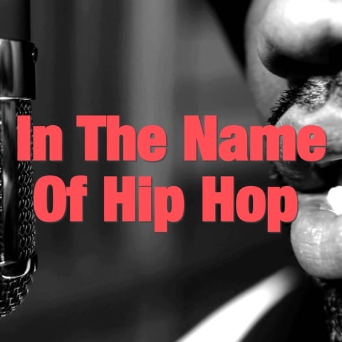 In The Name Of Hip Hop