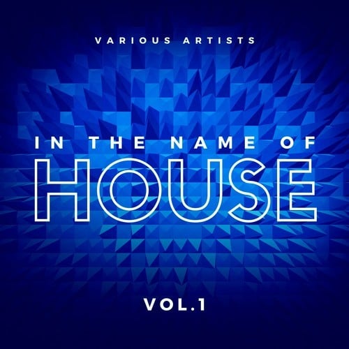 Various Artists-In the Name of House, Vol. 1