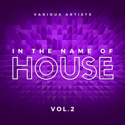 Various Artists-In the Name of House, Vol. 2
