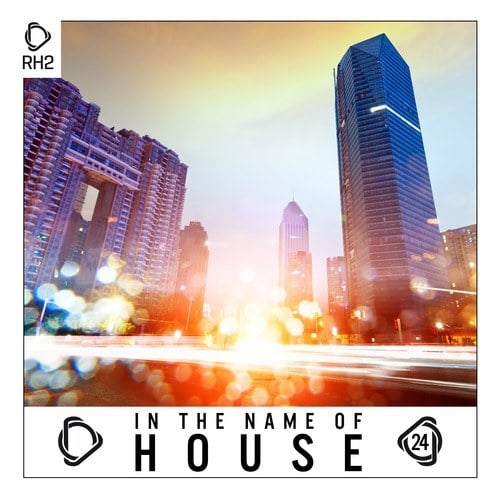 Various Artists-In the Name of House, Vol. 24