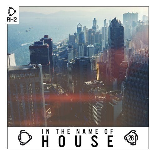 Various Artists-In the Name of House, Vol. 28