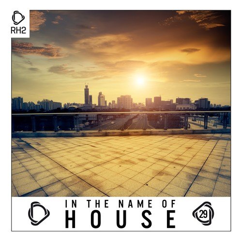 Various Artists-In the Name of House, Vol. 29