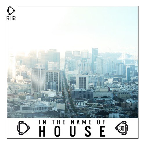 Various Artists-In the Name of House, Vol. 30