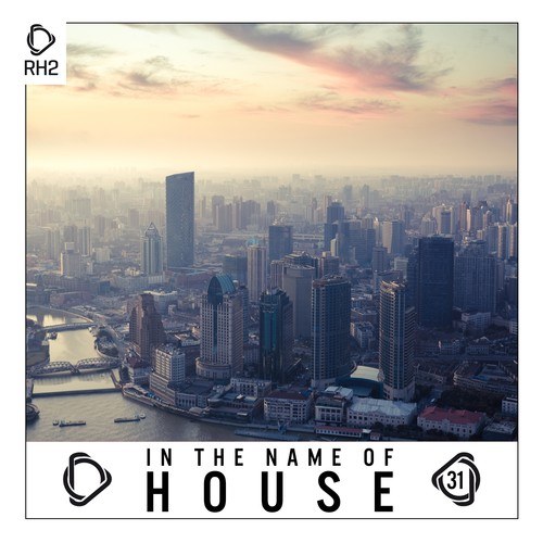 Various Artists-In the Name of House, Vol. 31