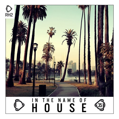 Various Artists-In the Name of House, Vol. 35