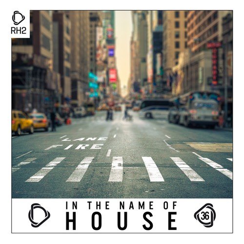 Various Artists-In the Name of House, Vol. 36
