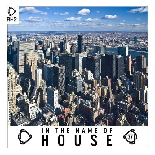 Various Artists-In the Name of House, Vol. 37